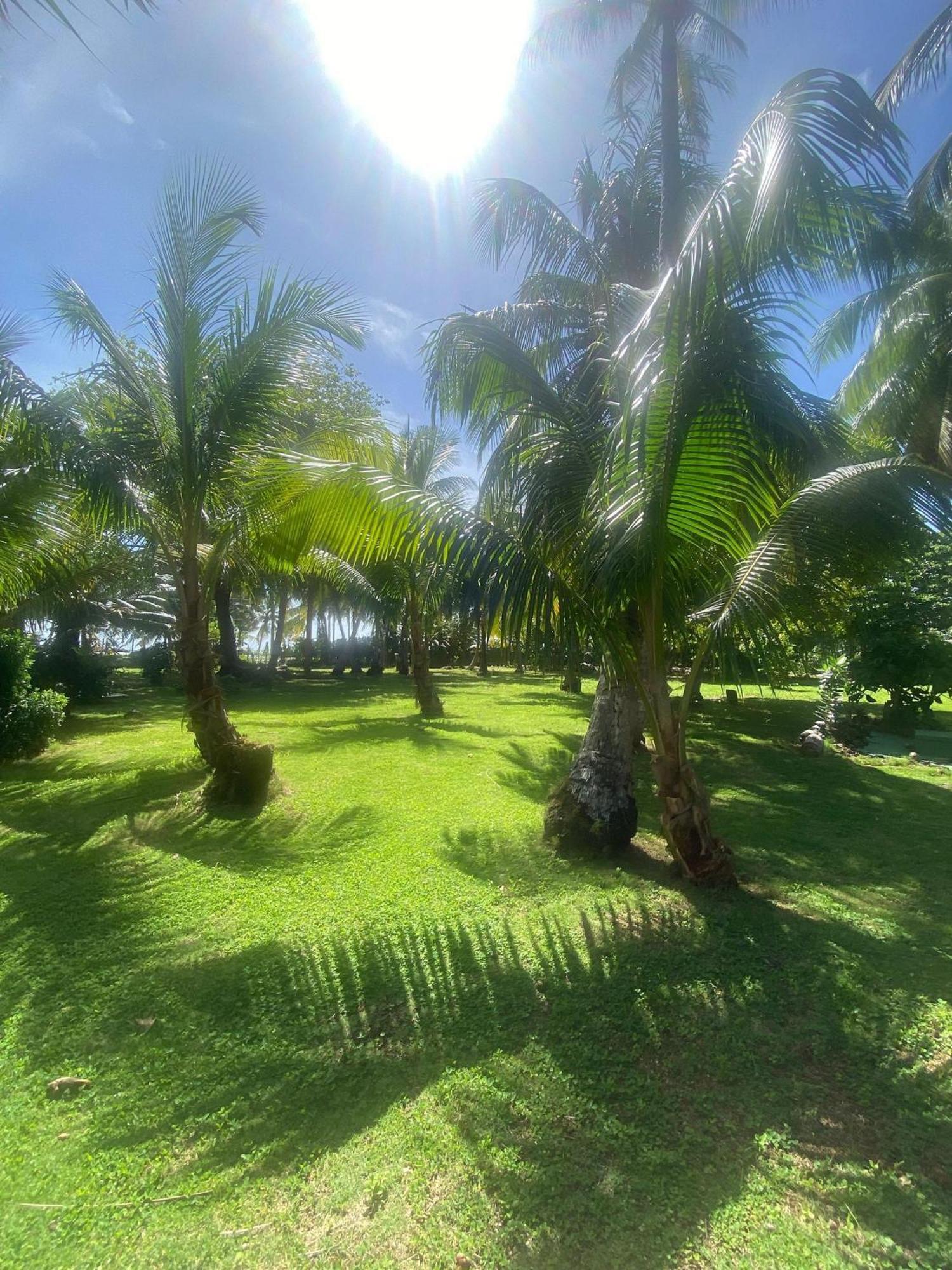 South End Villas - Apartamentos Paradisiaco En El Caribe Colombiano San Andres  Ngoại thất bức ảnh